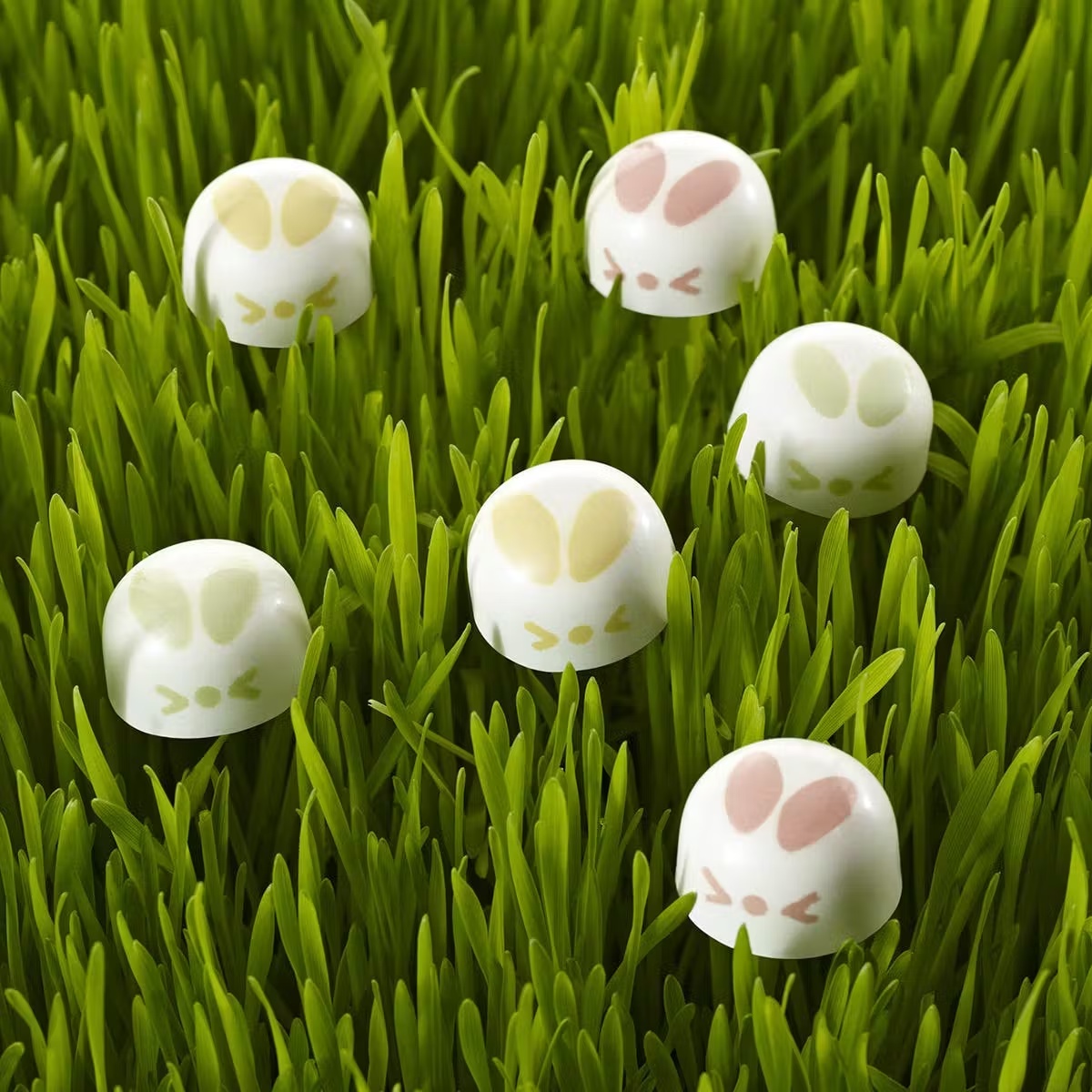 Cottontail Chocolate Bunnies