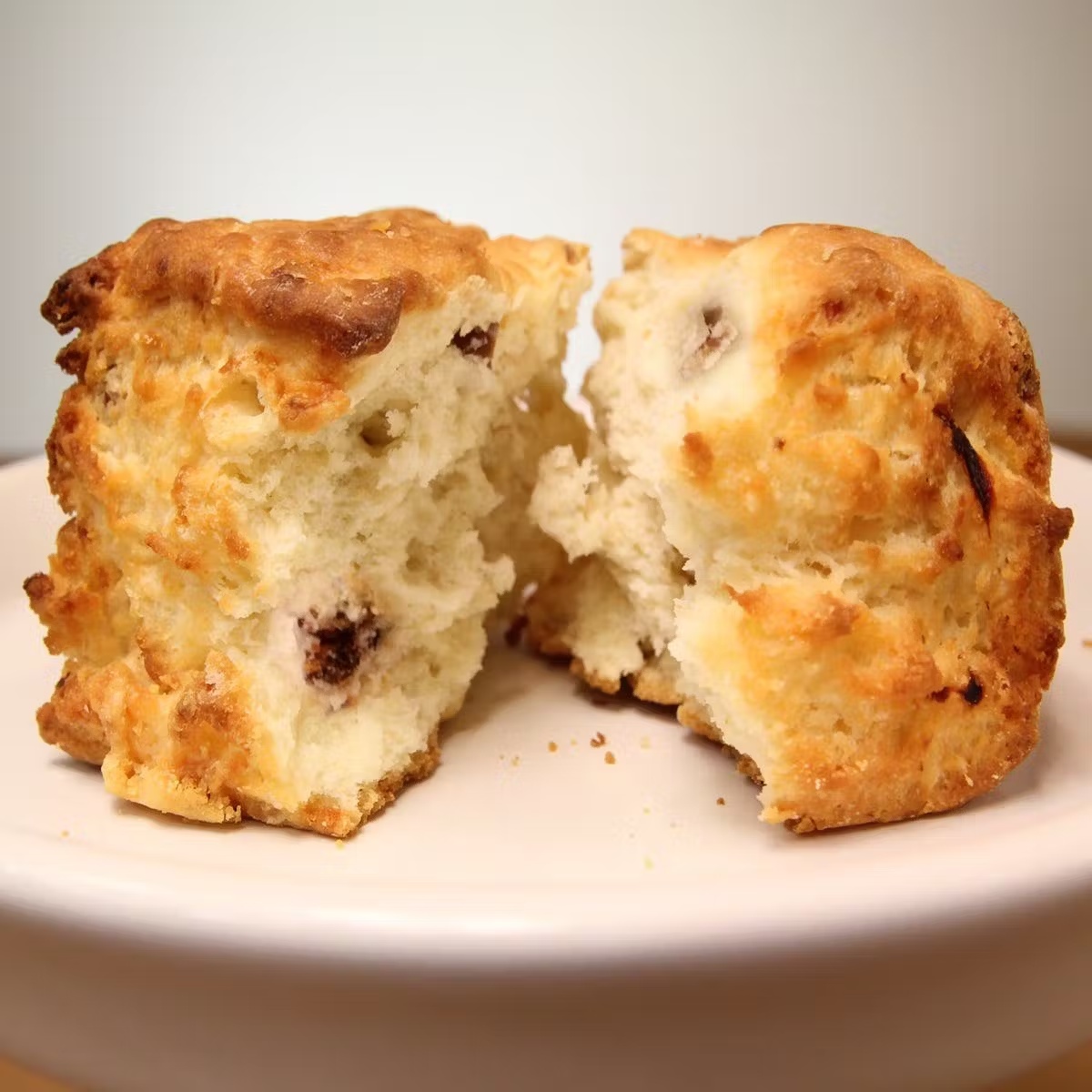 The Giant MacGregor Biscuit