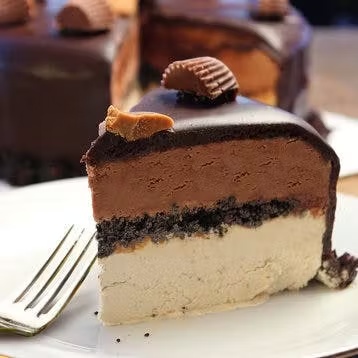Peanut Butter Fudge Ganache Ice Cream Cake