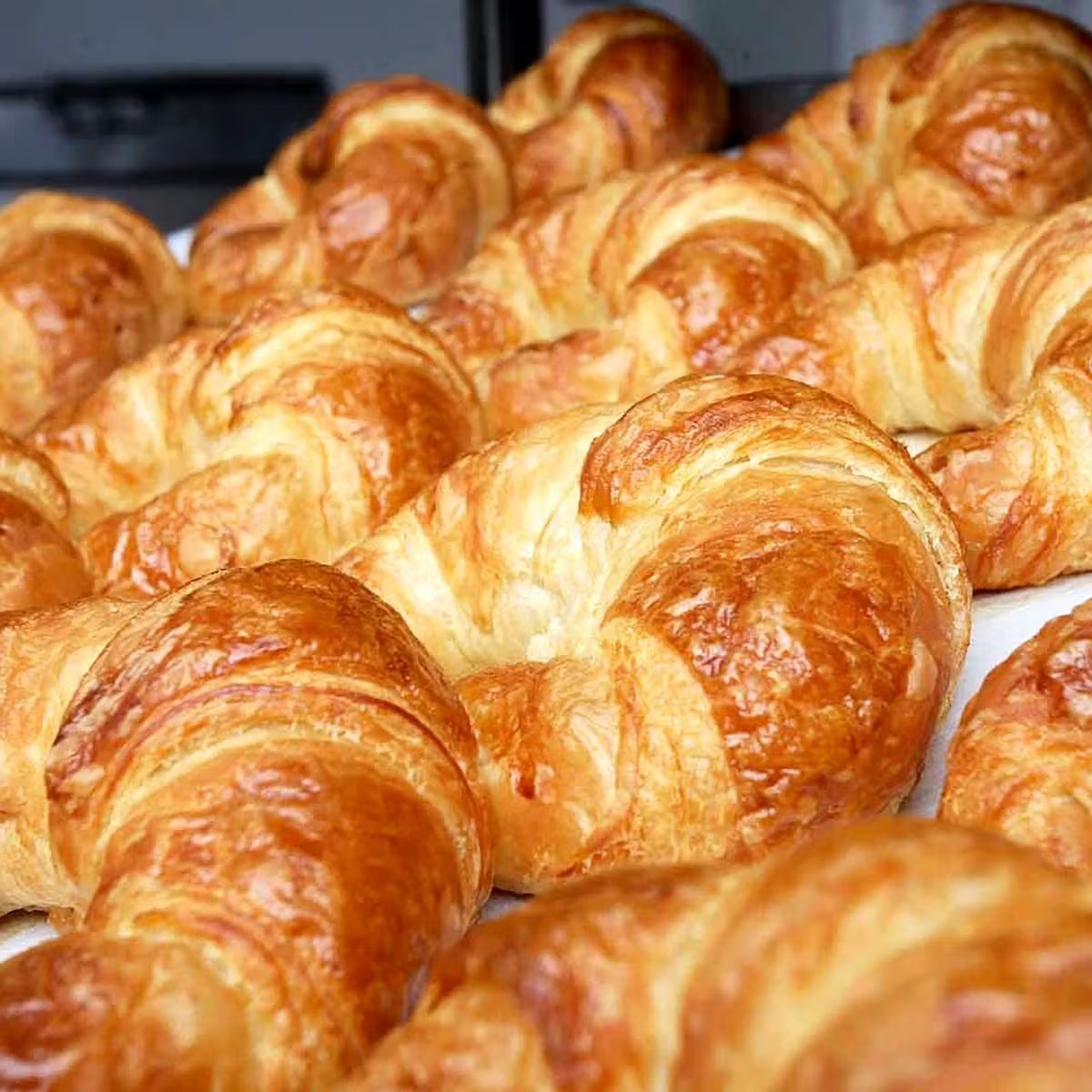 Fresh Butter Croissants - 8 Pack