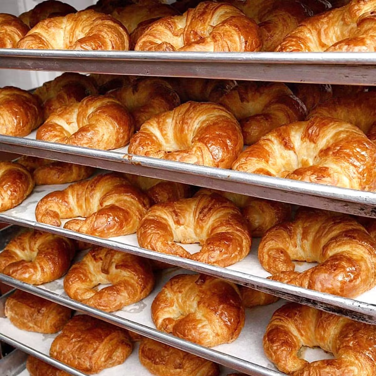 11509-fresh-butter-croissants-16-pack-1.jpg