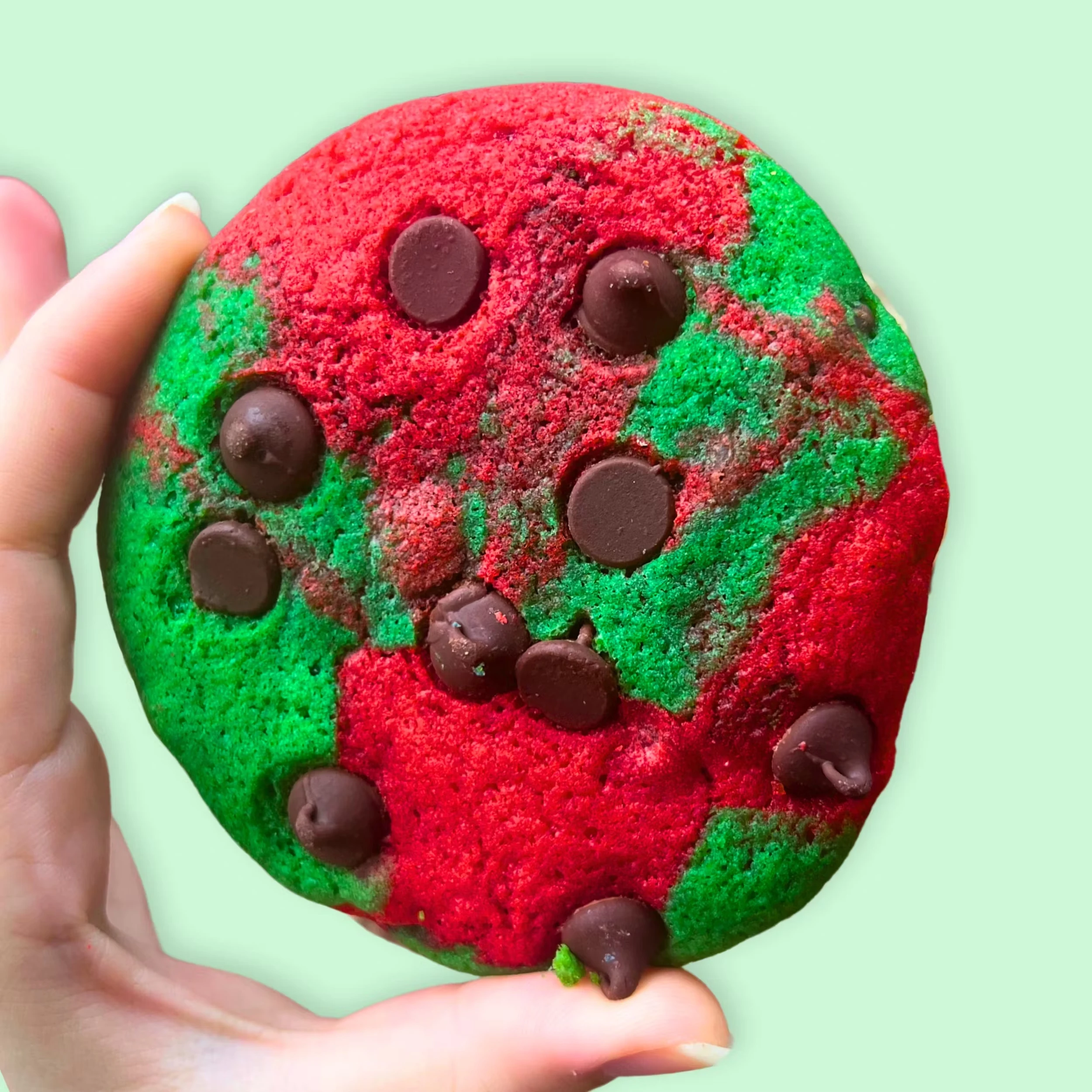 Christmas Cookie Tin - 20 Pack