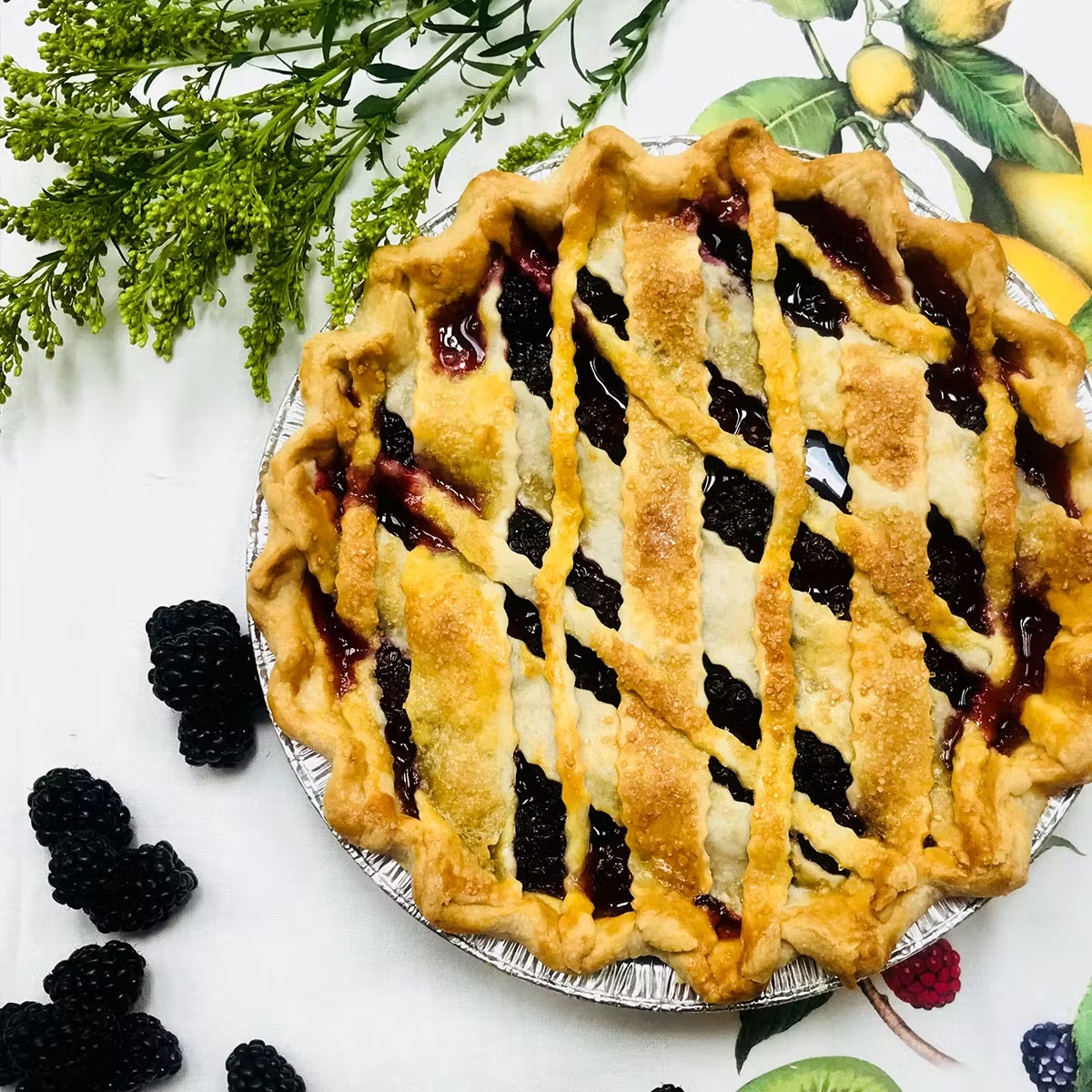 Blackberry Pie