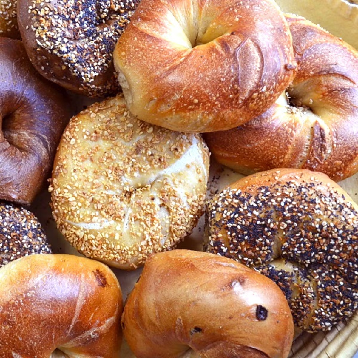 Essa Bagel Baker's Dozen (Kosher)