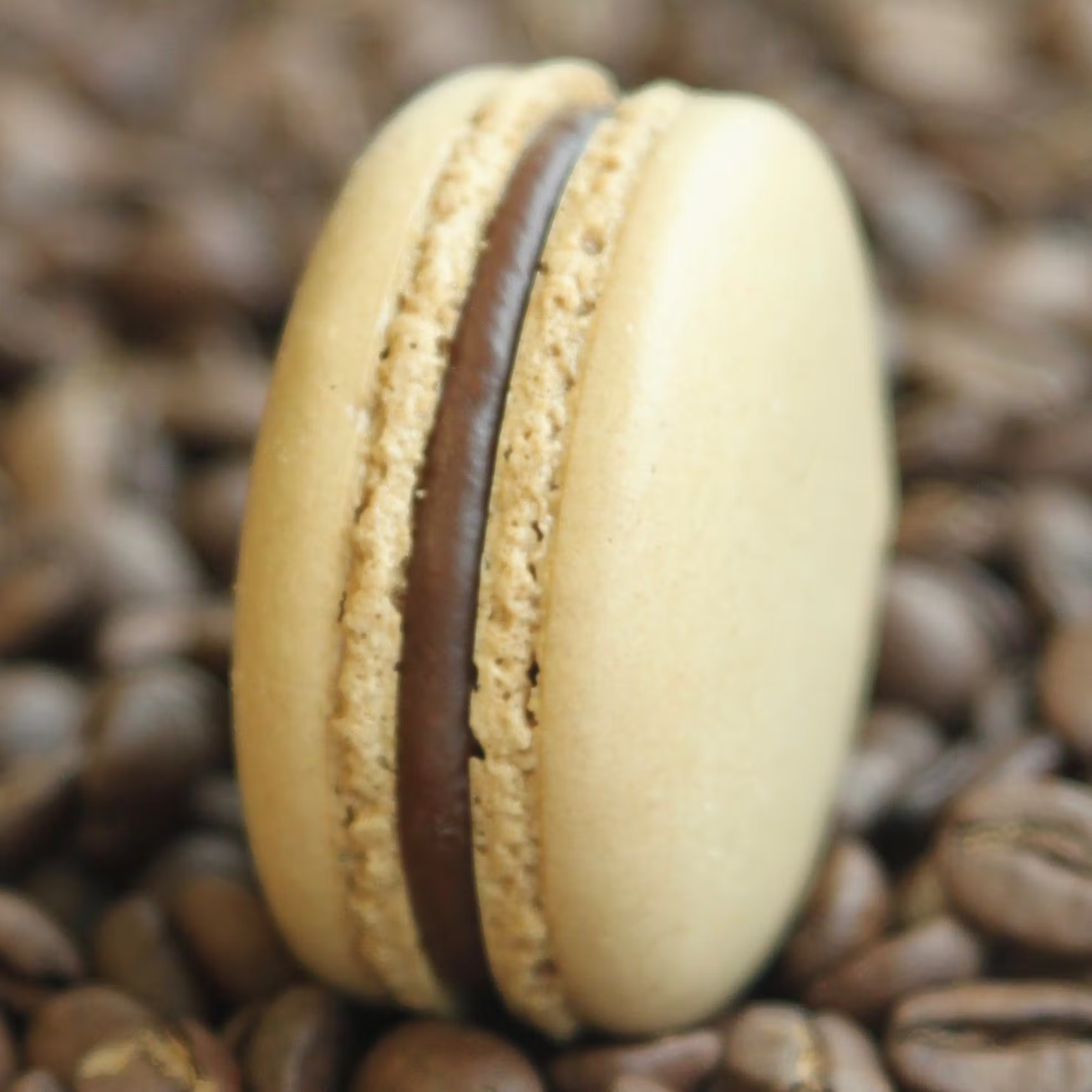 CafÃ© Collection Macarons - 12 Pack