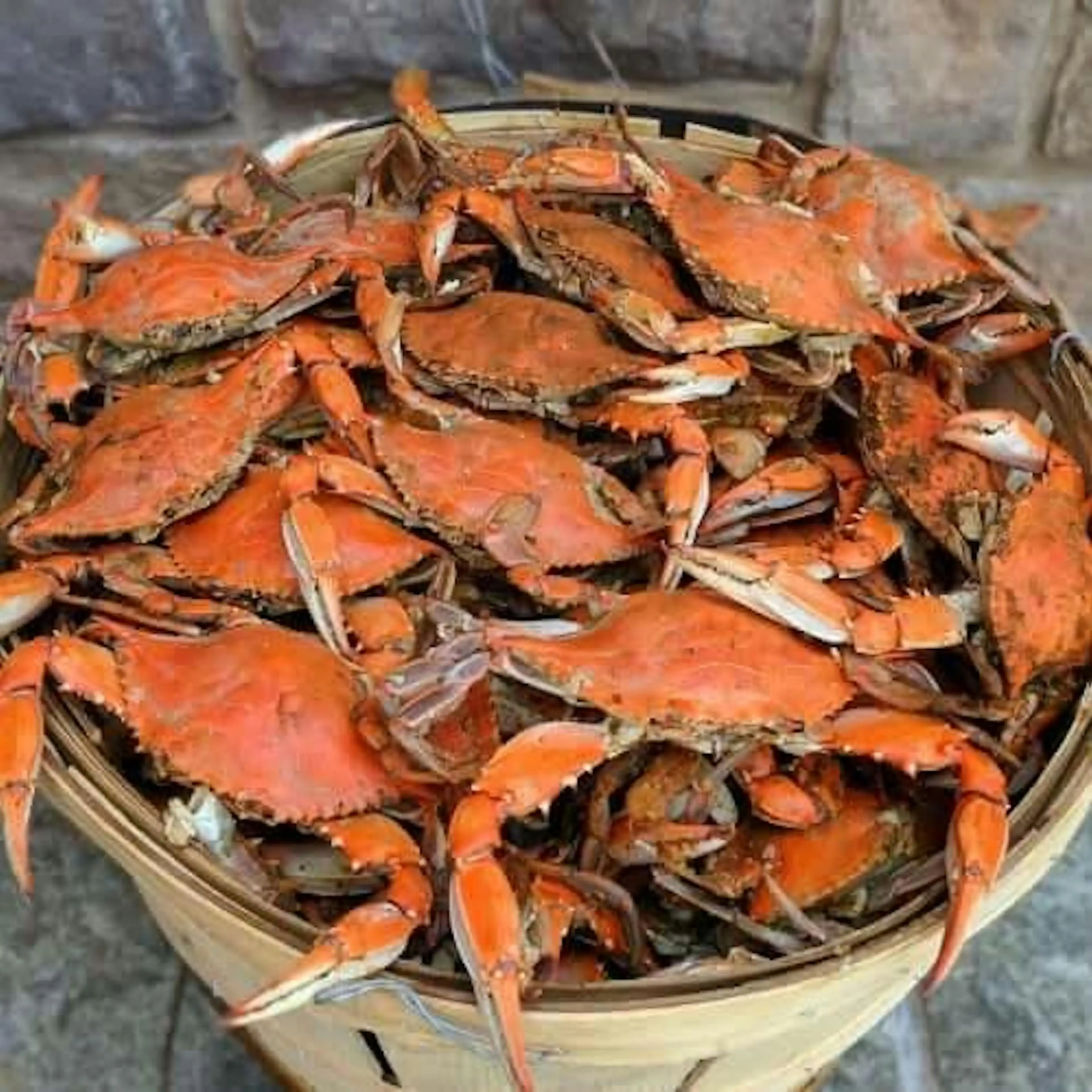 Standard Male Maryland Blue Crabs