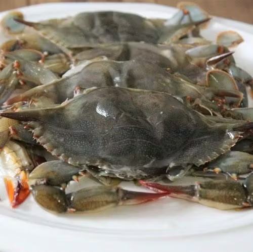 Maryland Soft Shell Crabs