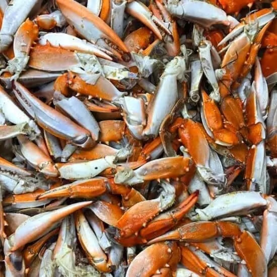 Maryland Blue Crab Claws - 3 lbs.