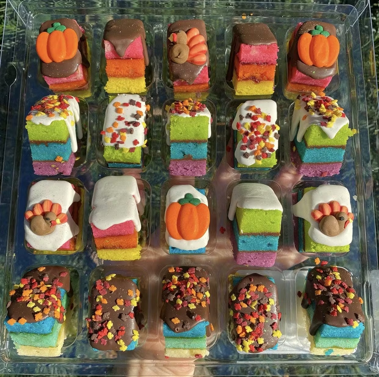 Thanksgiving Rainbow Cookies - 20 Pack