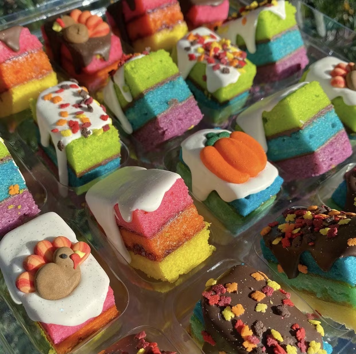 12179-thanksgiving-rainbow-cookies-20-pack-1.jpg
