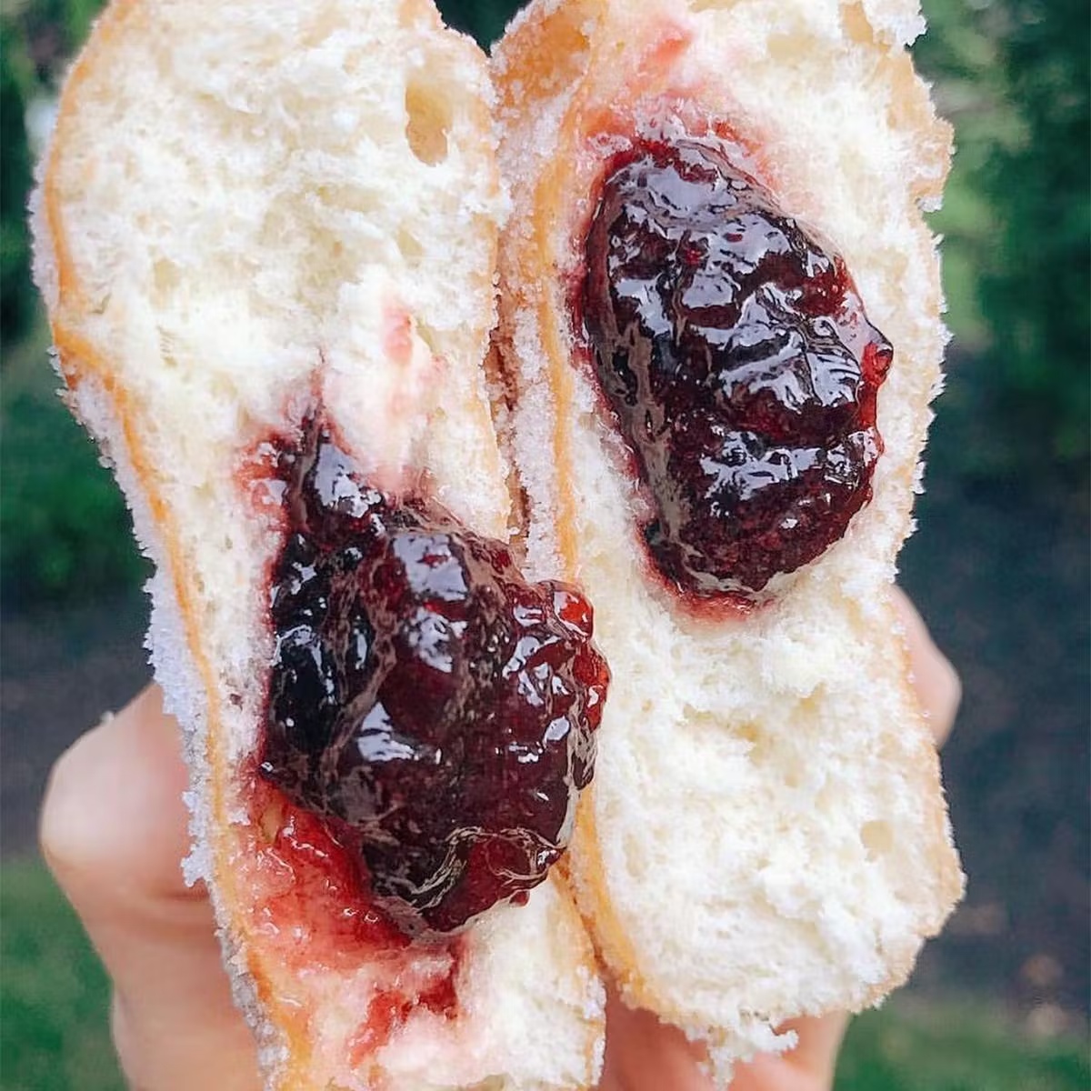 Jelly Donuts
