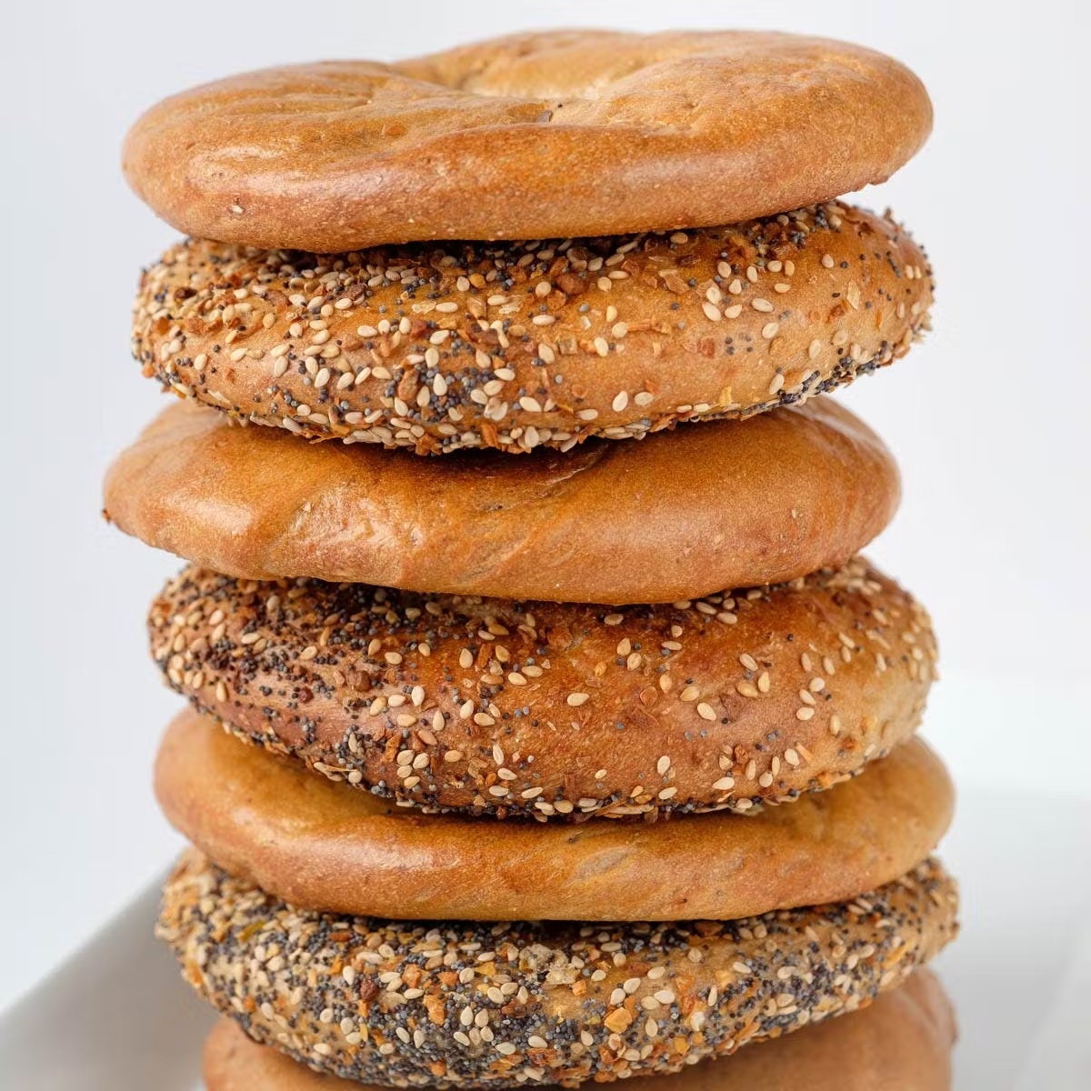 Bagel FlatZ Dozen + 6 FREE