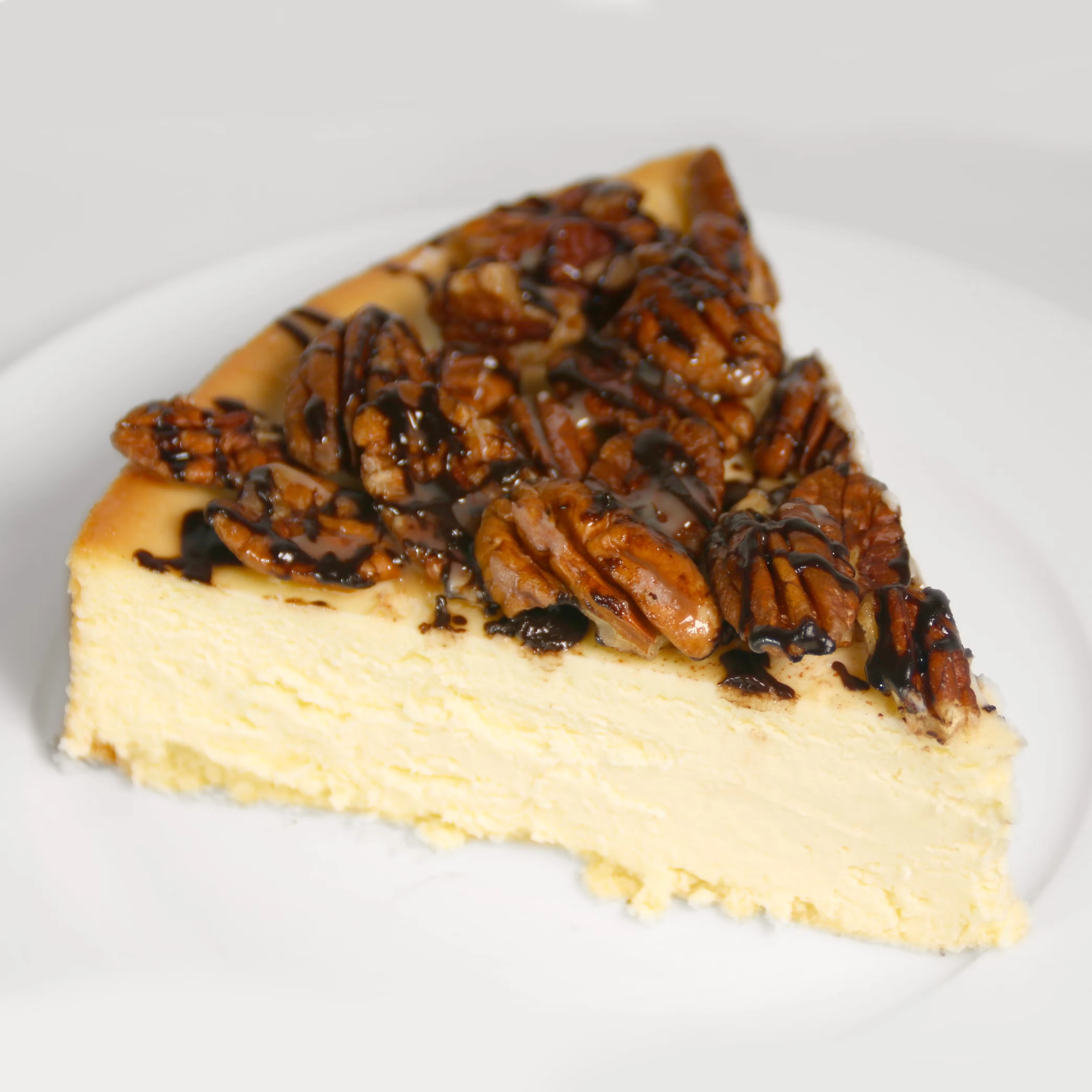 Turtle Cheesecake