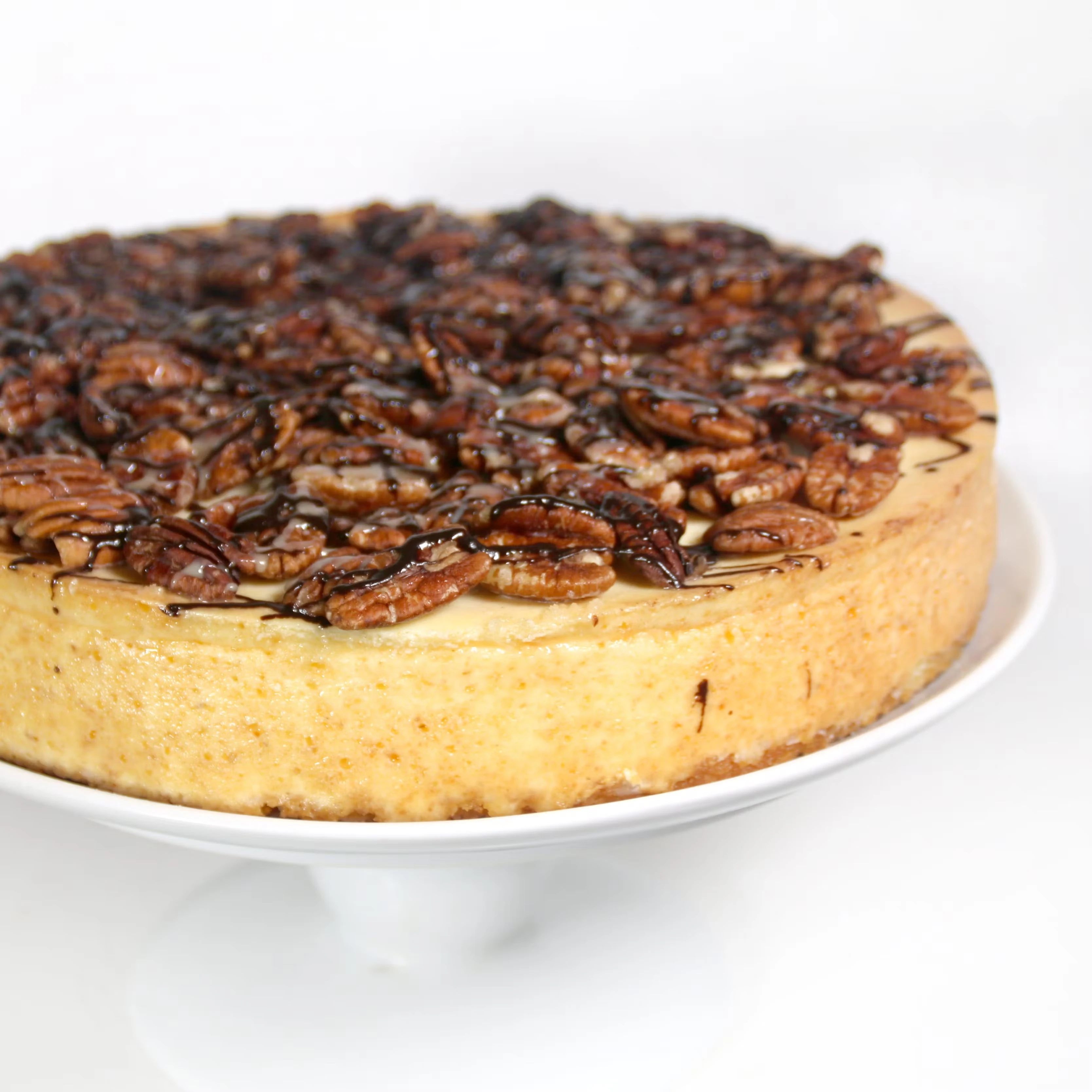 12585-turtle-cheesecake-1.webp