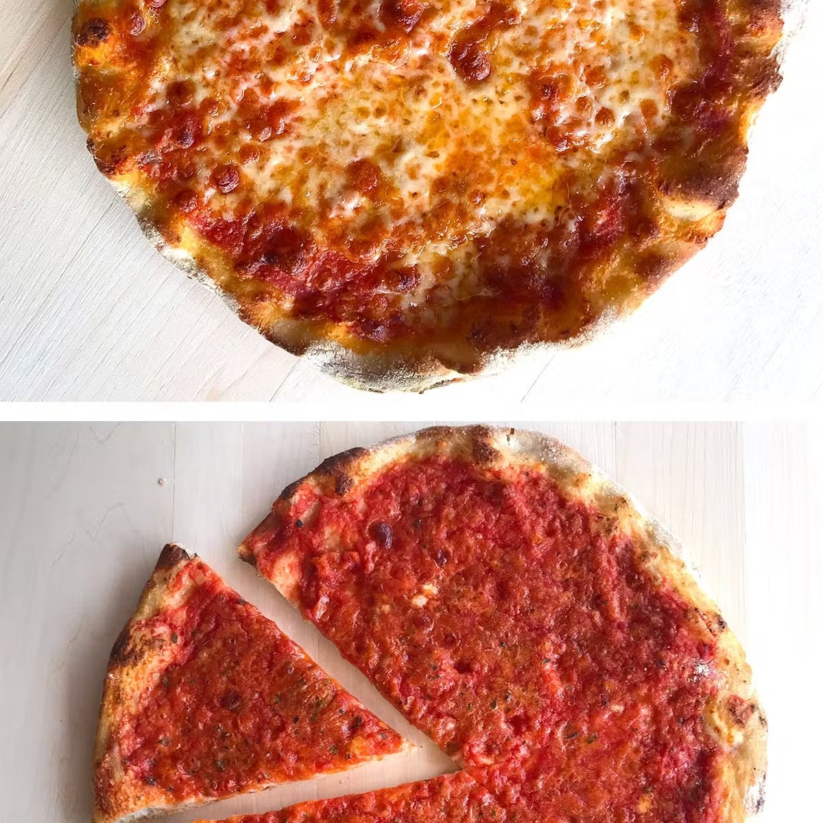 Taste of New Haven-Style Pizza - 6 Pack