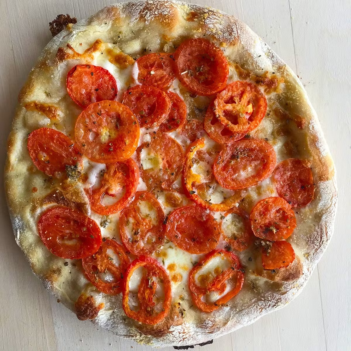 12591-new-haven-style-pizza-best-sellers-6-pack-1.jpg