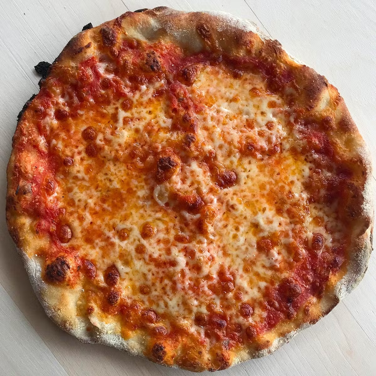 12591-new-haven-style-pizza-best-sellers-6-pack-1.jpg