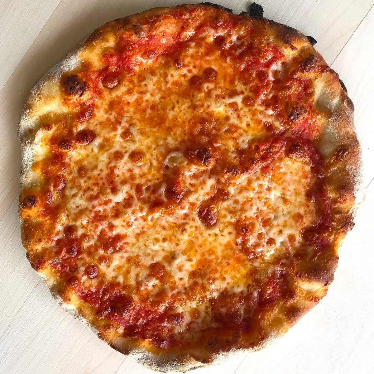 New Haven-Style Mozzarella Pizza - 6 Pack