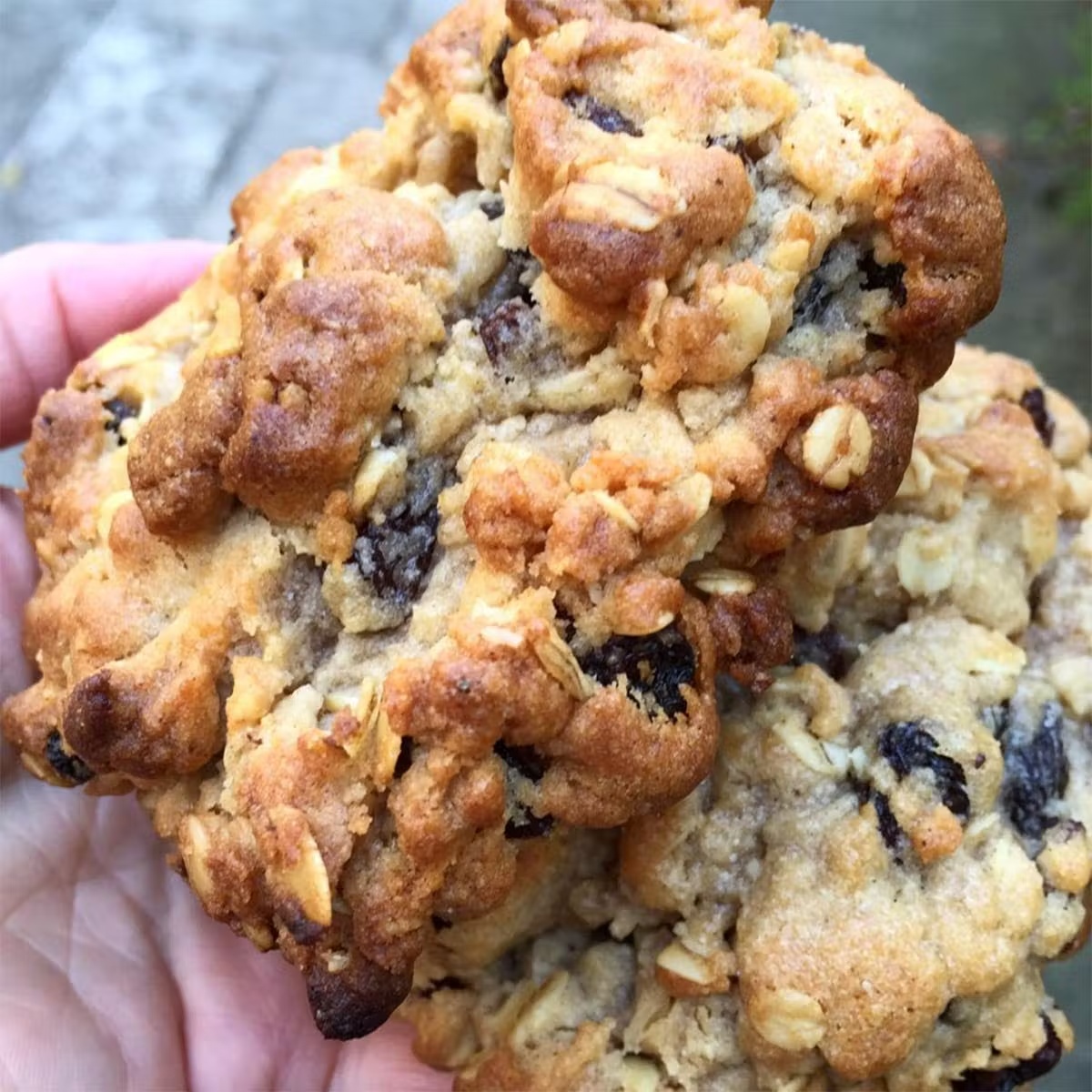 Oatmeal Raisin GIANT Cookies Pack