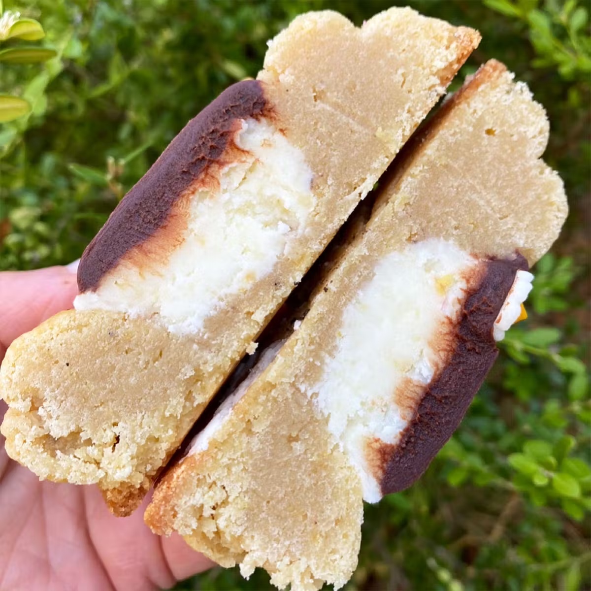 Spring Forward GIANT Cookies Pack