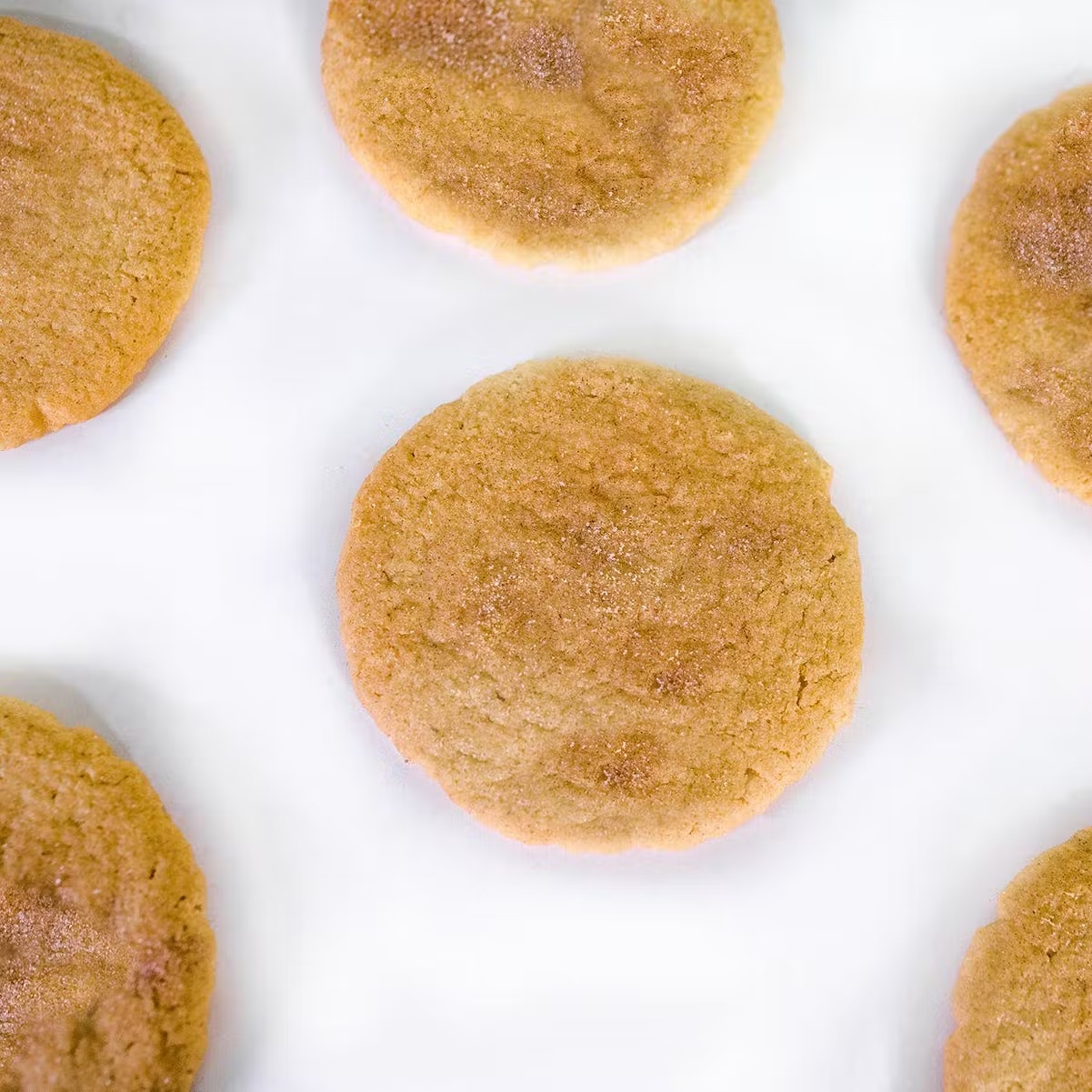12712-texas-sized-sugar-cookies-dozen-1.jpg
