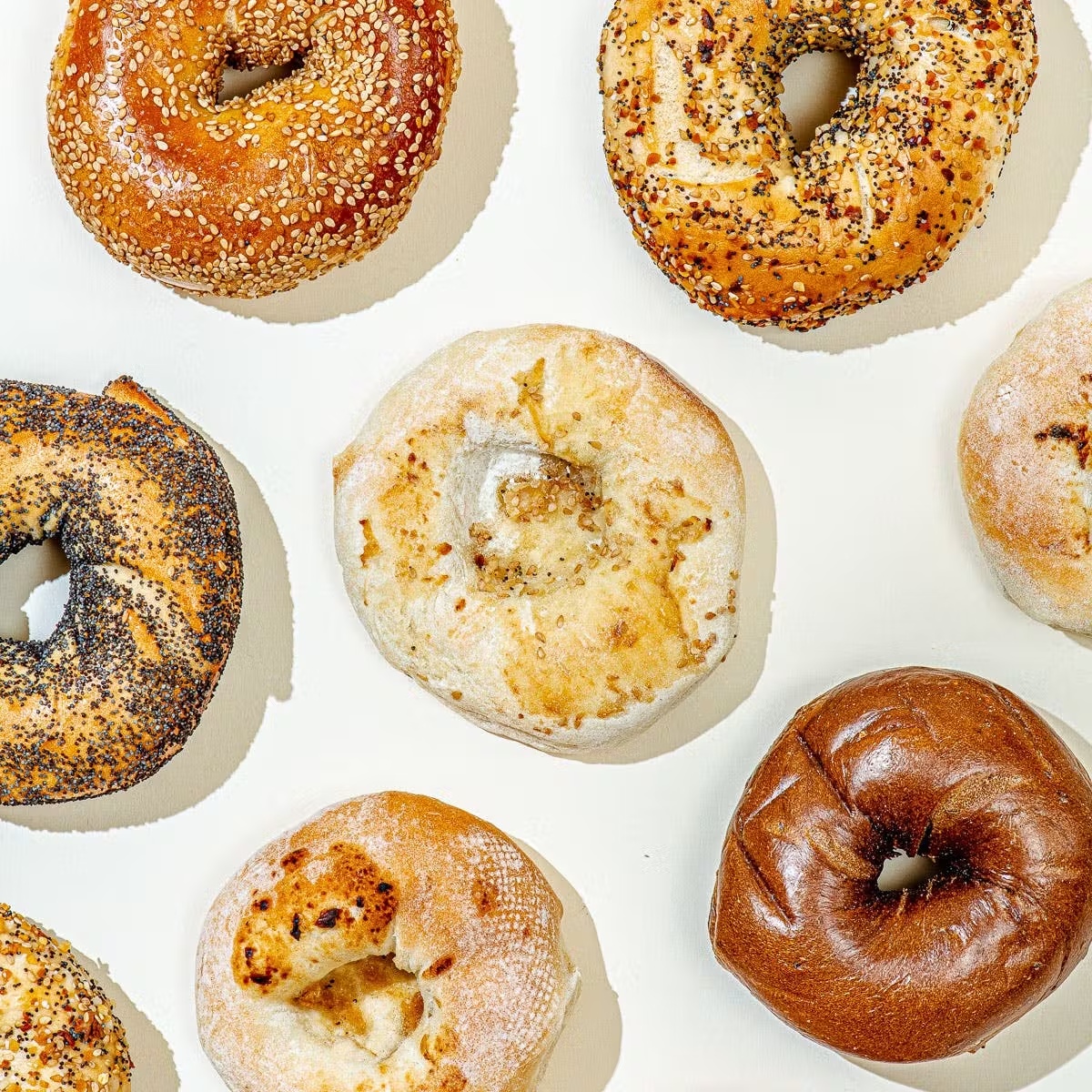 Assorted Bialy + Bagel Two Dozen