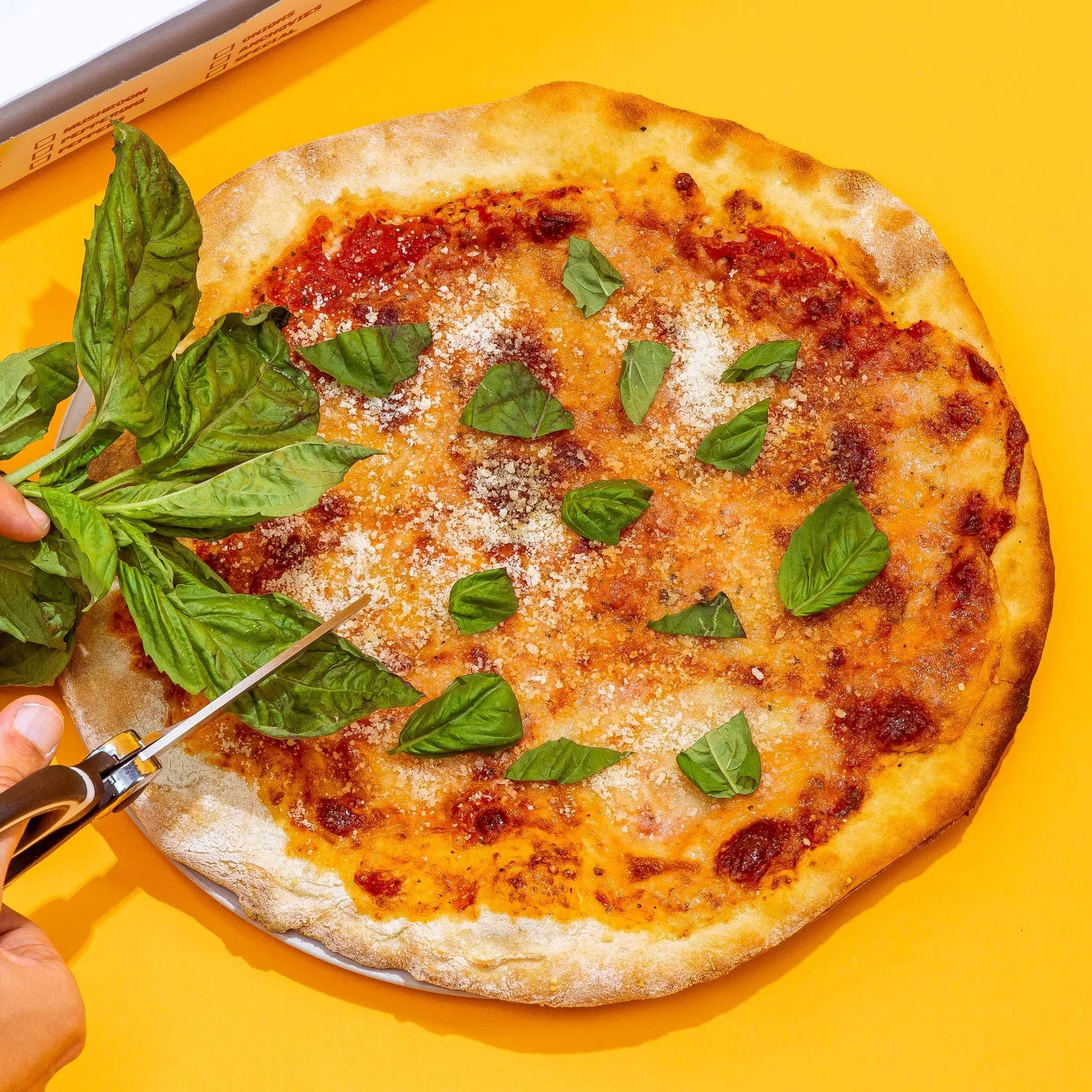 2 Neapolitan Cheese & 1 GIANT Sicilian Pizza Combo