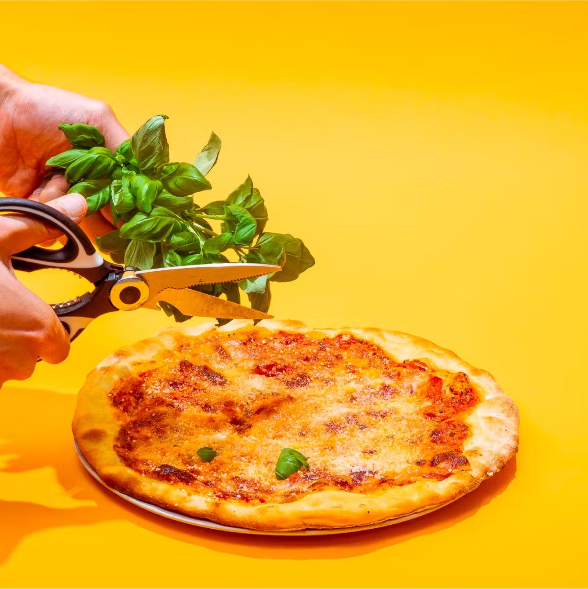 13375-neapolitan-pizza-best-seller-2-pack-1.jpg
