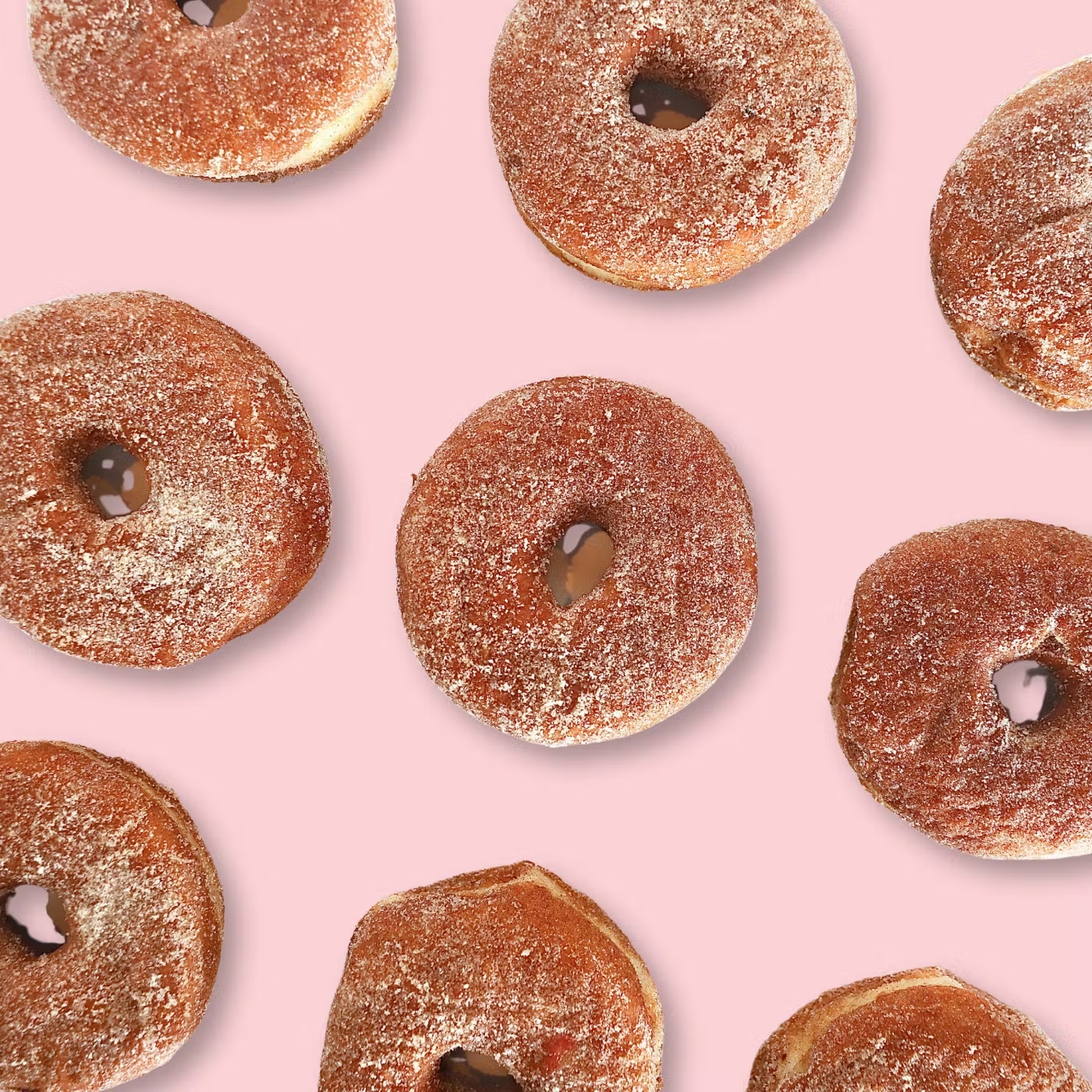 13417-vegan-cinnamon-sugar-donuts-12-pack-1.jpg