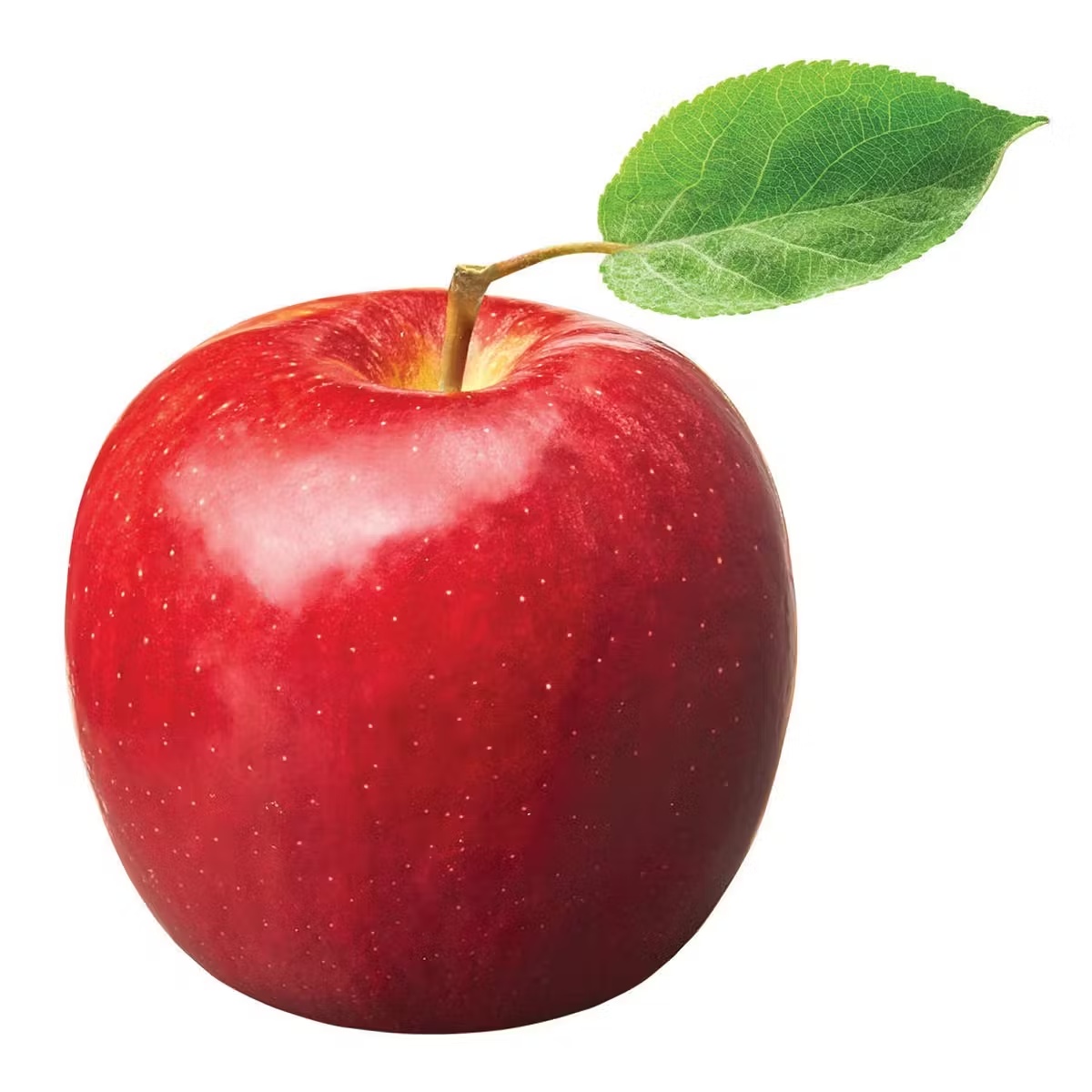 13558-cosmic-crisp-apple-dozen-1.jpg