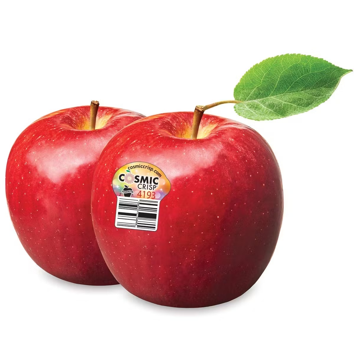 13558-cosmic-crisp-apple-dozen-1.jpg