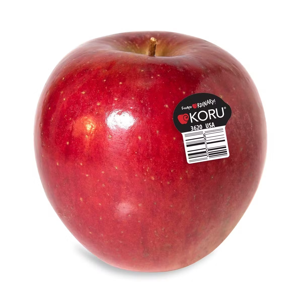 13559-koru-apple-dozen-1.jpg