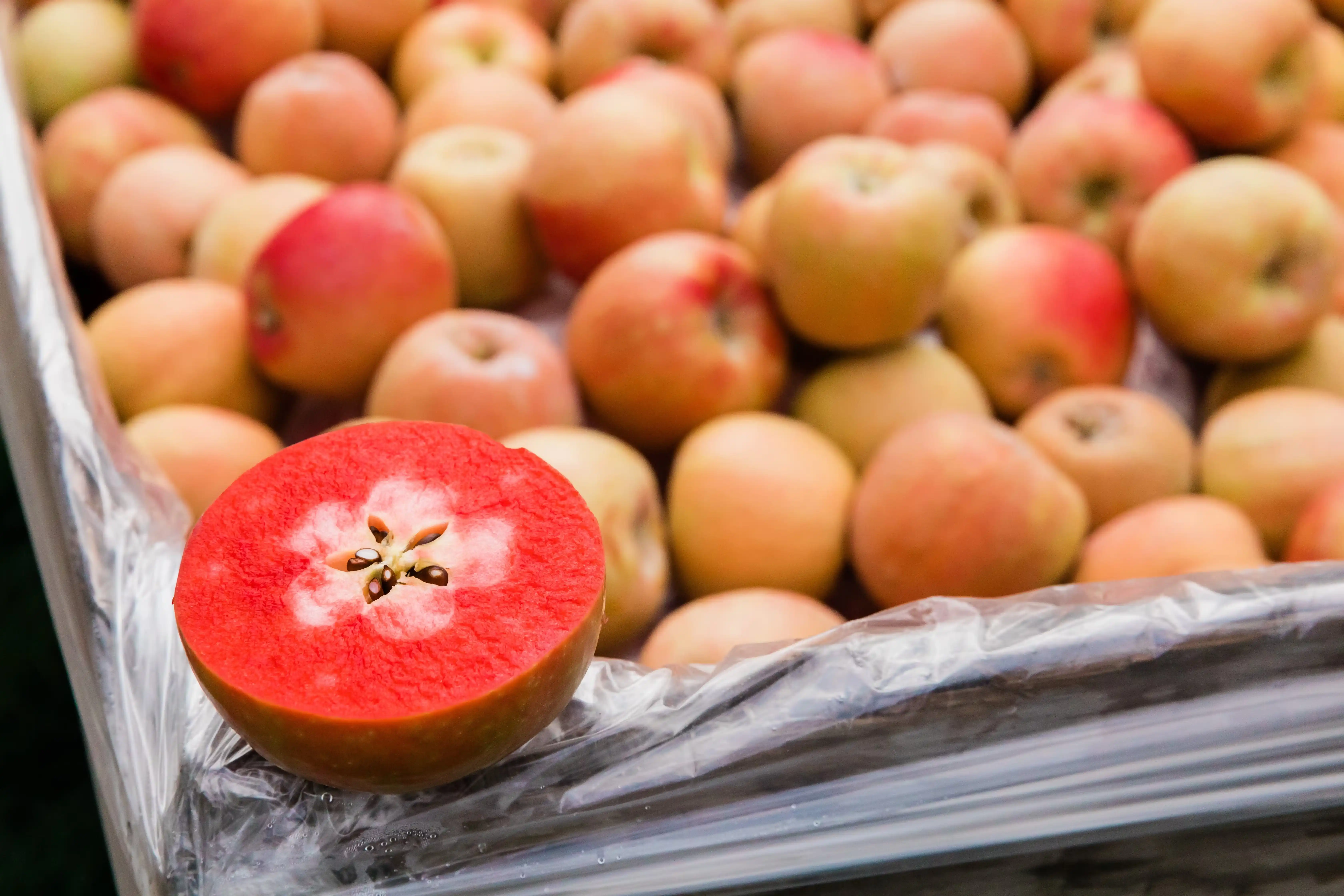 Lucyâ¢ Glo Apple - Dozen