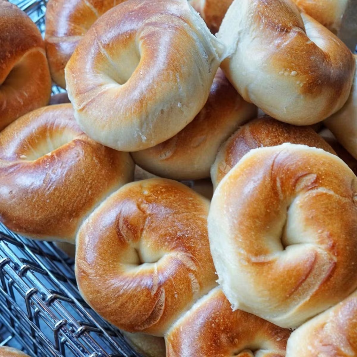 Dozen Bagels