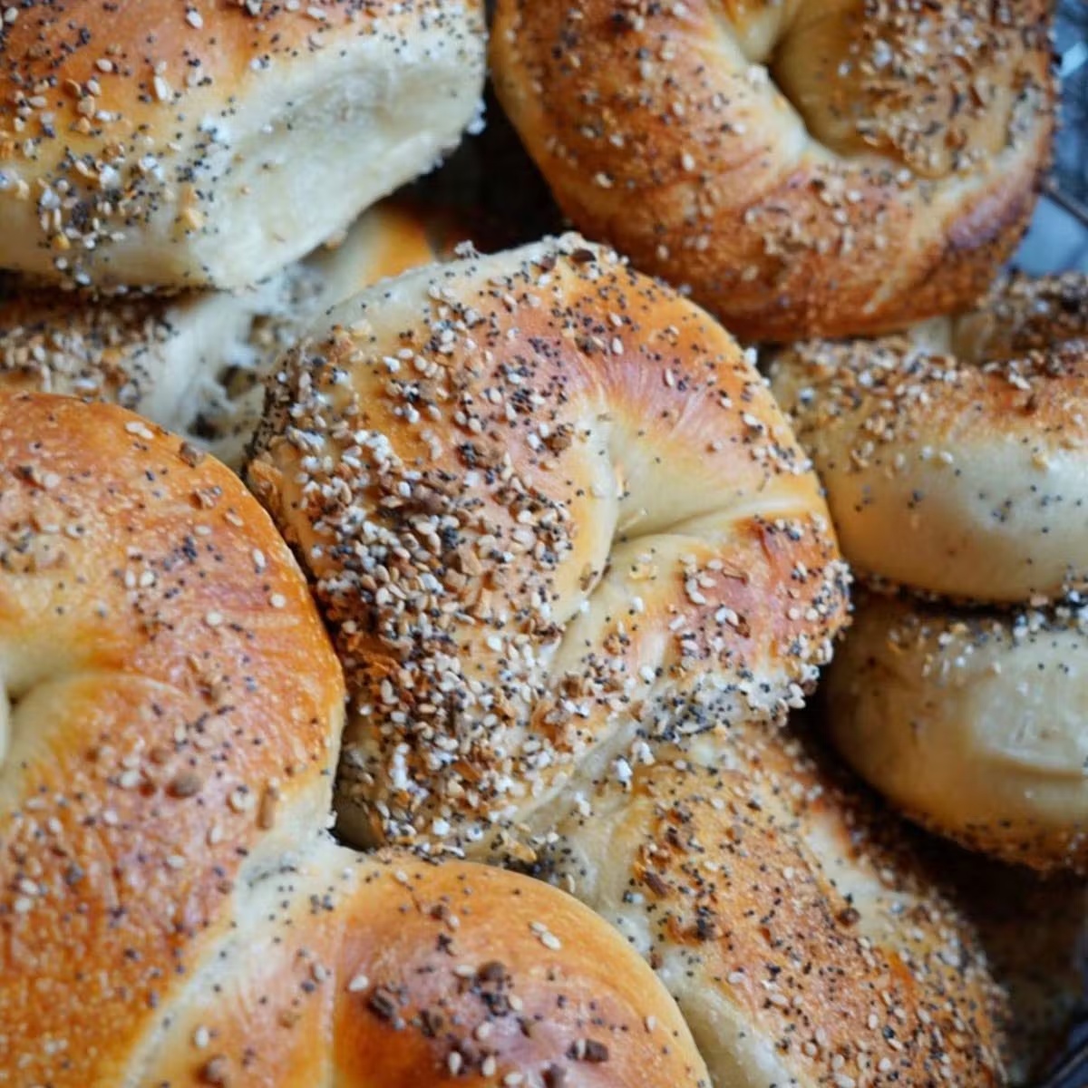 Dozen Bagels