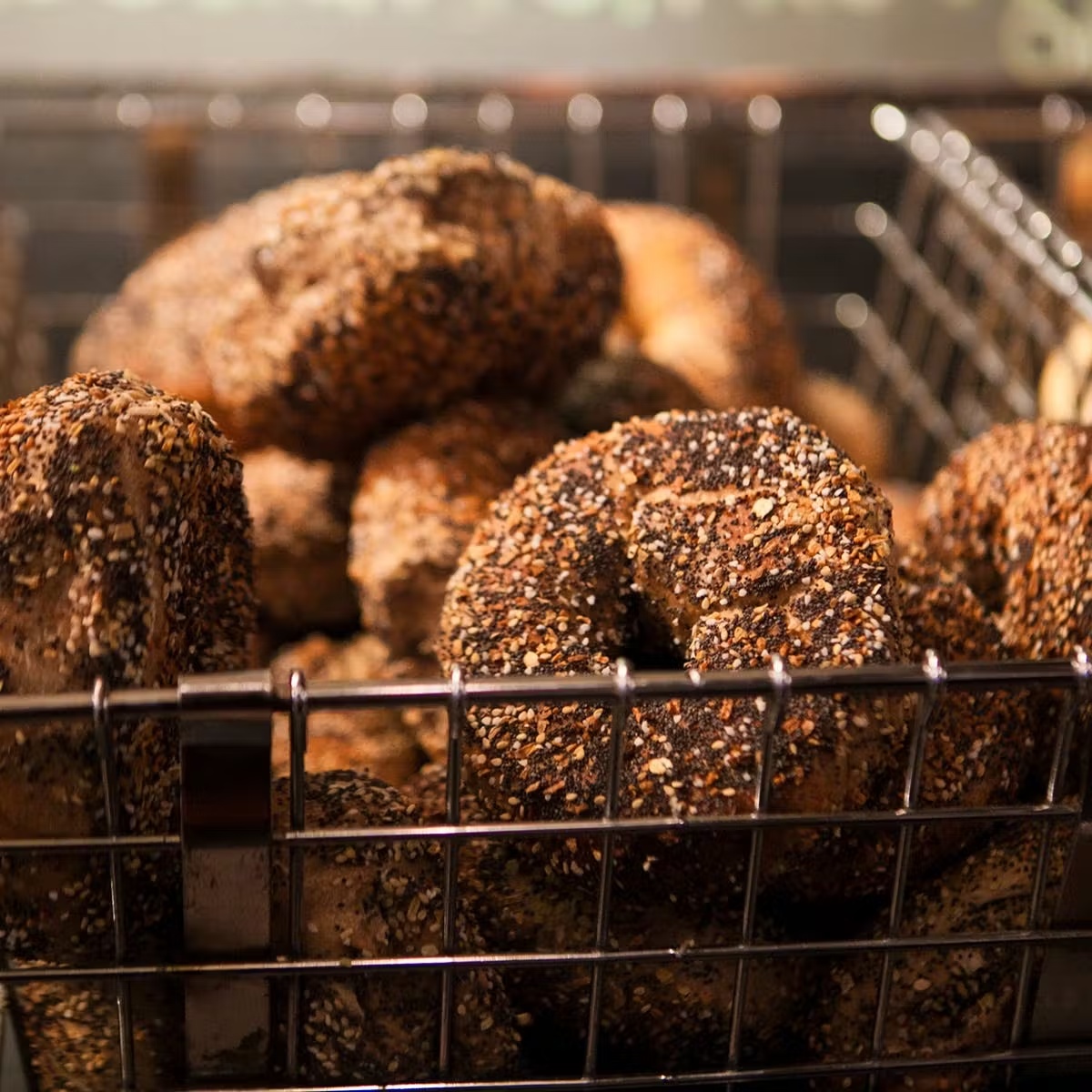 15255-two-baker-s-dozen-bagels-1.jpg