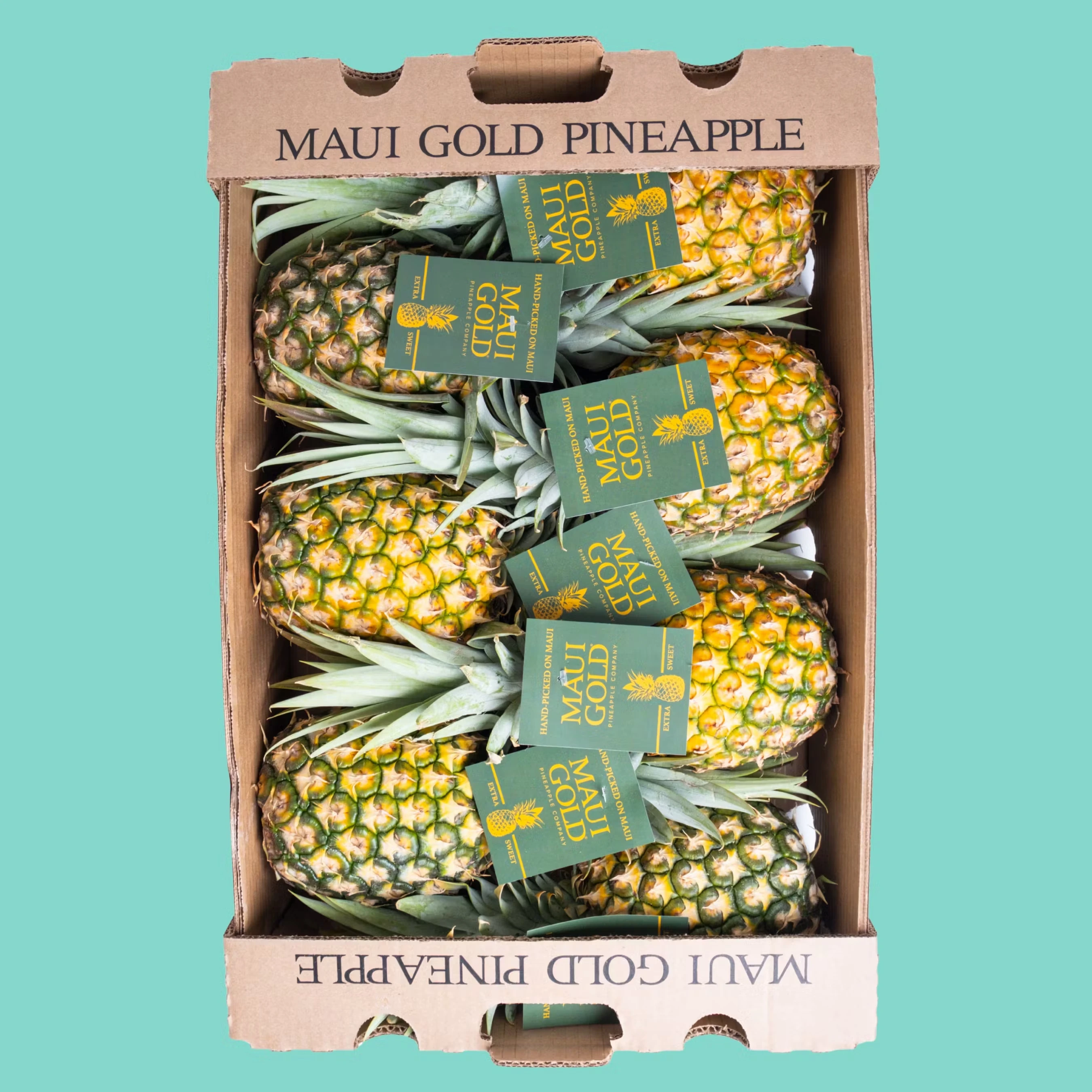 15713-maui-gold-pineapple-8-pack-1.webp