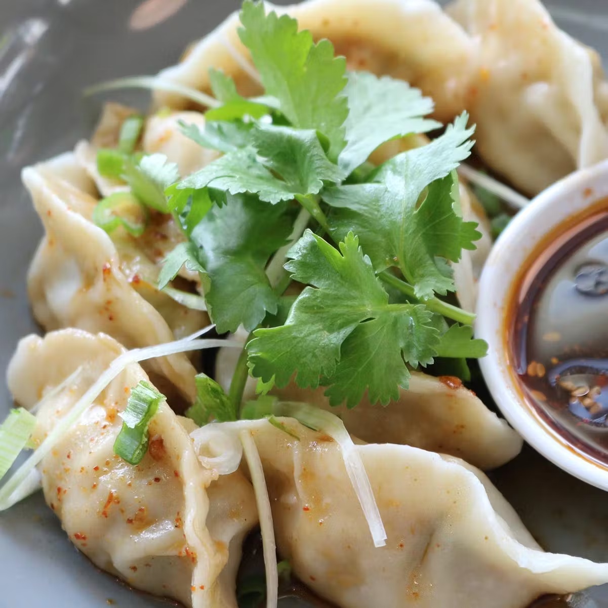 Chicken and Chive Dumplings - 50 Pack