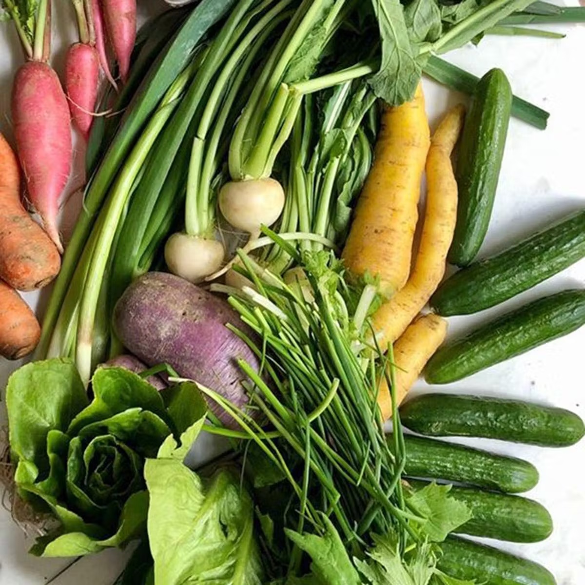 Farm Sampler Box