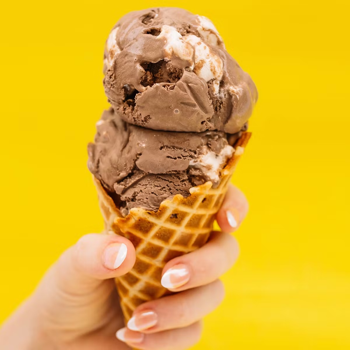 Holiday Ice Cream Favorites - 6 Pints