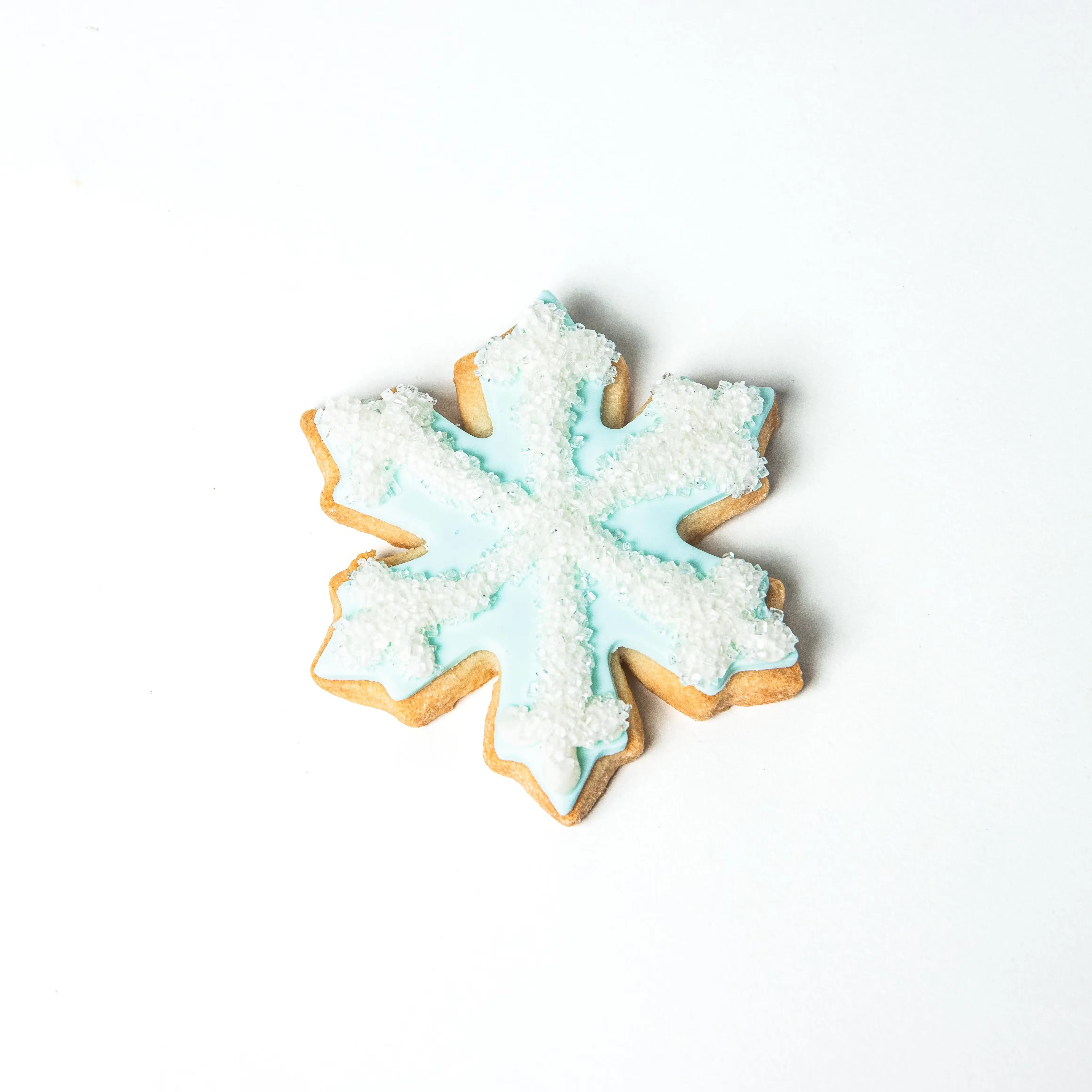 Winter Wonderland Fondant Cookies - 12 Pack