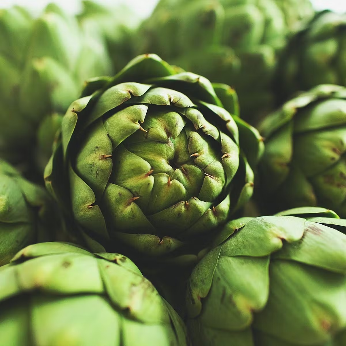 Fresh Medium Artichokes - 8 Pack