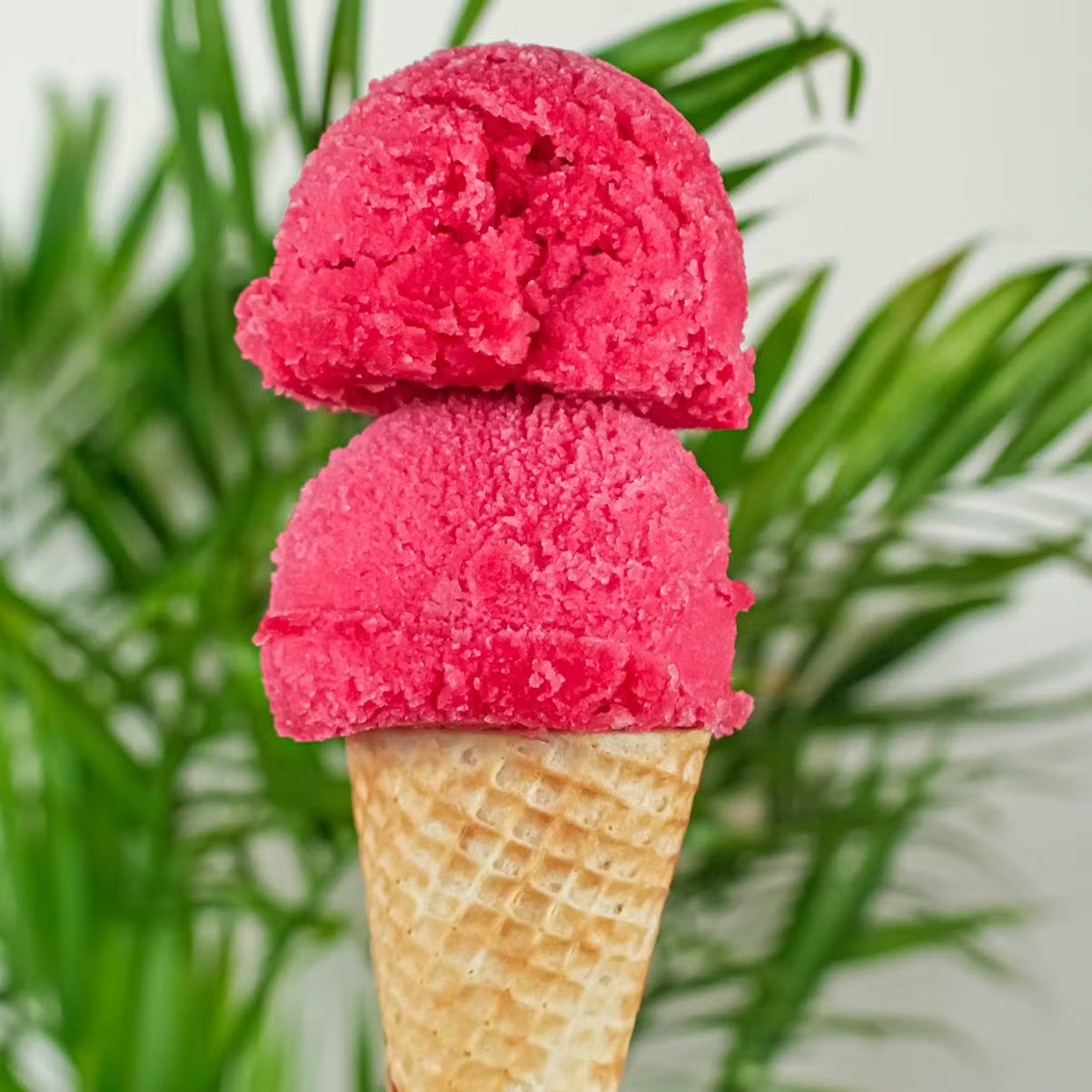 Ice Cream & Sorbet Best Seller - 4 Pints