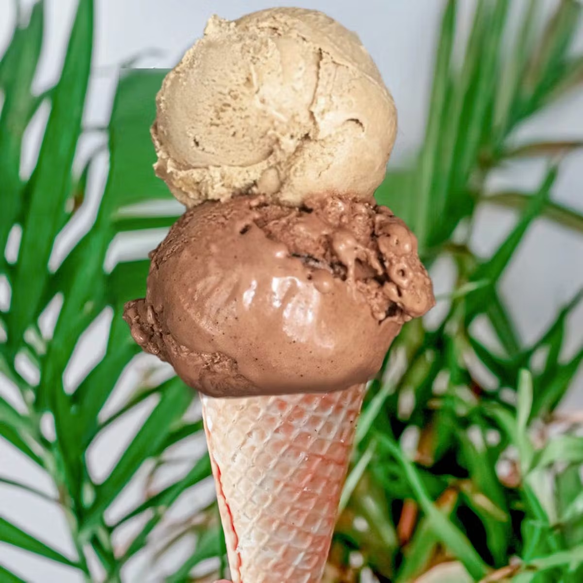 Ice Cream & Sorbet - Choose Your Own 4 Pints
