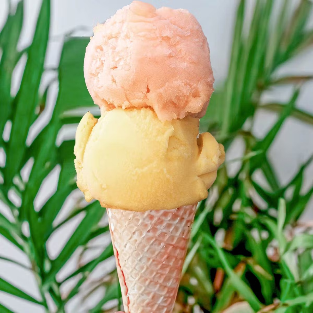 Pops & Pints - Choose Your Own 10 Pops + 2 Pints