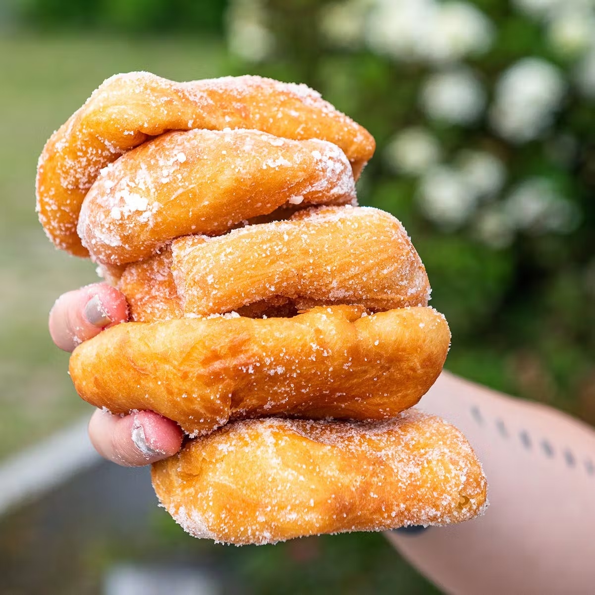 17335-doughboys-12-pack-1.jpg