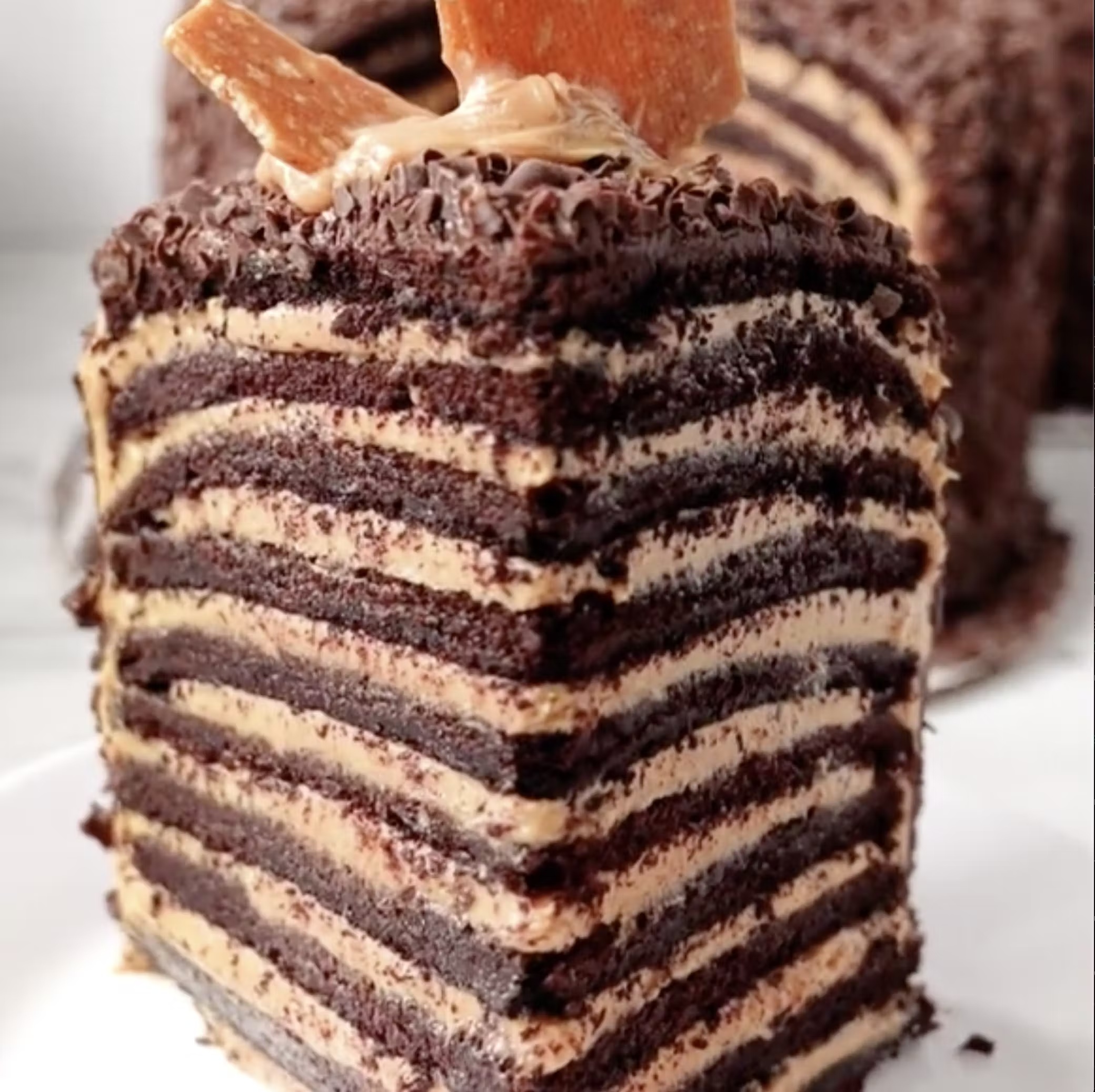 GIANT 20 Layer Chocolate Peanut Butter Cake
