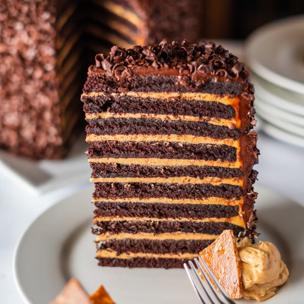 GIANT 20 Layer Chocolate Peanut Butter Cake