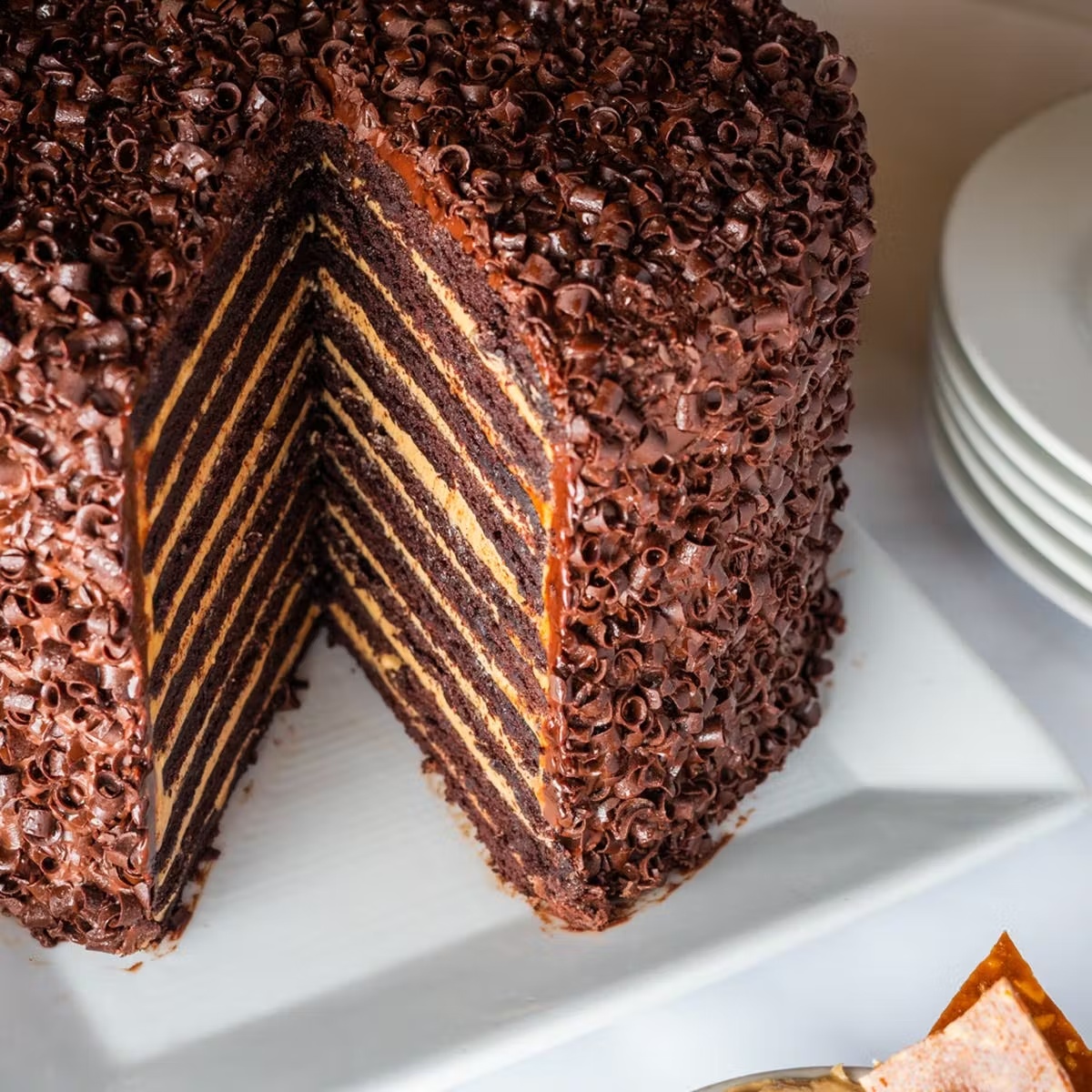 20 Layer Chocolate Peanut Butter Cake