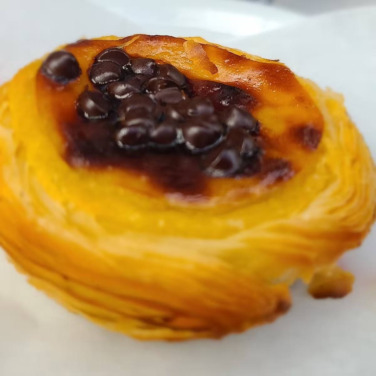 Chocolate PastÃ©is de Nata - 24 Pack